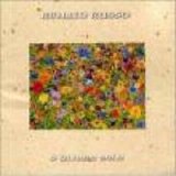 Renato Russo - O Ultimo Solo