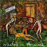 Love/Hate - Wasted in America