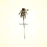 Patrick Watson - Wooden Arms