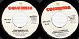 Lynn Anderson - Rising Above It All/Rising Above It All (US Promo)