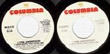 Lynn Anderson - What I Learned From Loving You/Mr. Sundown (US)