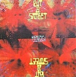 Bit 'A Sweet - Hypnotic 1