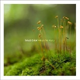 Small Color - Hikari No Hana