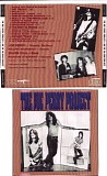 Joe Perry Project - Do The Talkin Project