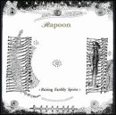 Rapoon - Raising Earthly Spirits