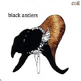 Coil - Black Antlers