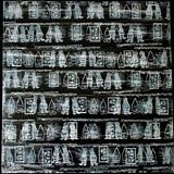 Smashing Pumpkins - Friends & Enemies