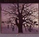Brighter Death Now - Necrose Evangelicum