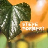 Steve Forbert - Evergreen Boy