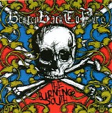 Beaten Back To Pure - The Burning South