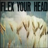 Various artists - Flex Your Head