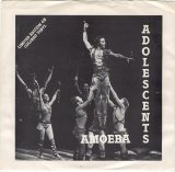 Adolescents [Fullerton, California, USA] - Amoeba [7''] (1980) @320kbps