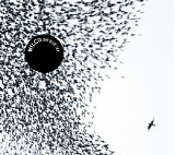 Wilco - Sky Blue Sky