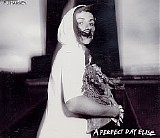 PJ Harvey - A Perfect Day Elise