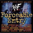 Various artists - Forceable Entry