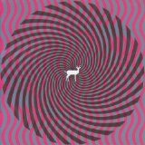 Deerhunter - Microcastle 2008