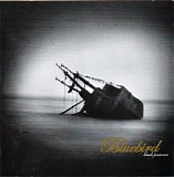 Bluebird - Black Presence