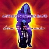 Anthony Gomes Band - Blues In Technicolor