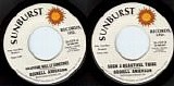 Roshell Anderson - Grapevine Will Lie Sometimes/Such A Beautiful Thing (US)