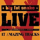 Big Fat Snake - Live