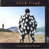 Pink Floyd - Delicate Sound Of Thunder