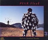 Pink Floyd - Delicate Sound of Thunder