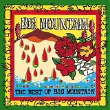 Big Mountain - The Best Of