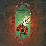 Sarah McLachlan - Rarities, B-Sides & Other Stuff