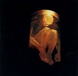 Alice in Chains - Nothing Safe