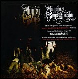 Maylene and the Sons of Disaster - II
