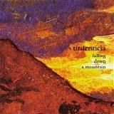 Tindersticks - Falling Down A Mountain