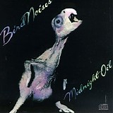 Midnight Oil - Bird Noises
