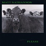 Matt Nathanson - Please
