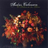 AndrÃ©s Calamaro - El Palacio De Las Flores