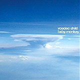 Voodoo Child (Moby) - Baby Monkey