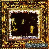 Aterciopelados - El Dorado