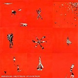 Animal Collective - Hollinndagain