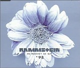 Rammstein - Du riechst so gut 98