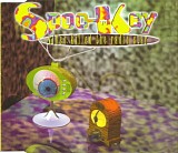 Spoo-Key - Video Killed The Radio Star