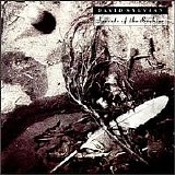 David Sylvian - Secrets of the Beehive