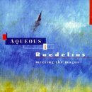 Roedelius & Aqueous - Meeting The Magus