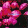 Bondage Fruit - Bondage Fruit