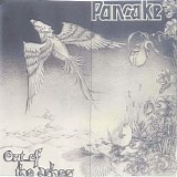 Pancake - Out Of The Ashes