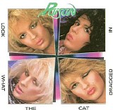 Poison - Look What The Cat Dragged In