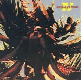 Bondage Fruit - IV