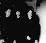 The Tea Party - The Capitol Demos