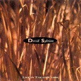 Sylvian, David - Live In Theatre 1988