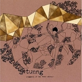 Tunng - Comments Of The Inner Chorus