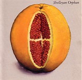 Shelleyan Orphan - Humroot