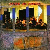 Axiom of Choice - Beyond Denial